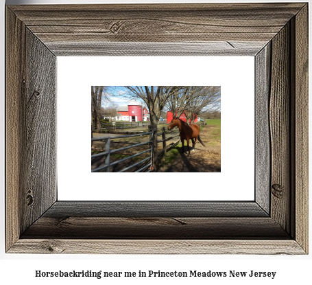 horseback riding near me in Princeton Meadows, New Jersey